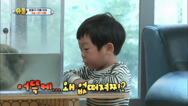 돌돌이와의 이별에 마음이 아픈 서준이 (맴찢주의.. ㅠㅠ) | 인스티즈