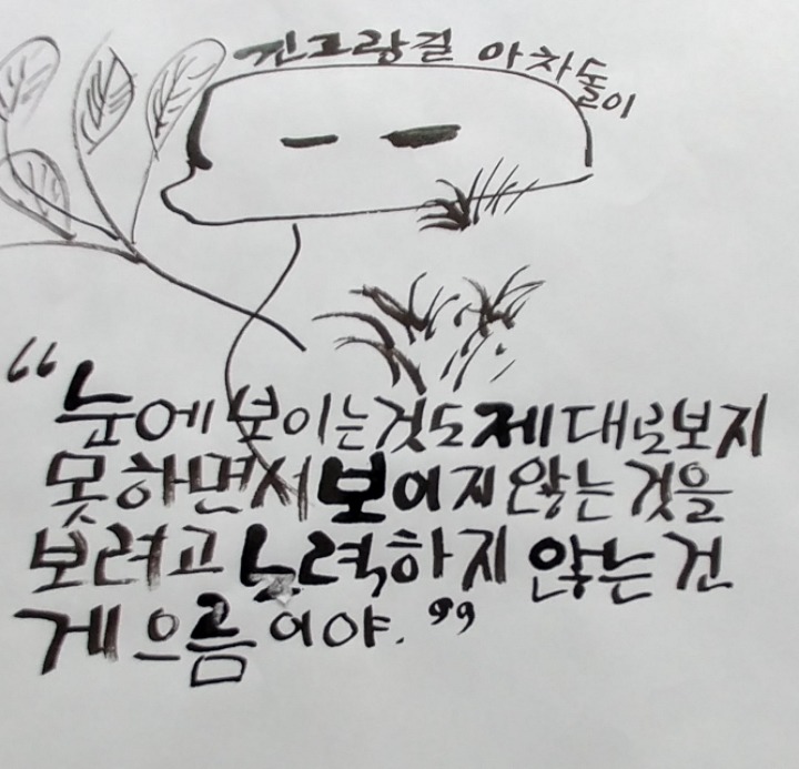 아차돌 이미지
