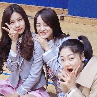 프로듀스101) 재미로 보는 Top22 생존자 계파 분류 | 인스티즈