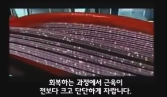 근육이 자라는 과정 | 인스티즈