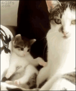 엄마는 아이의 거울.gif | 인스티즈