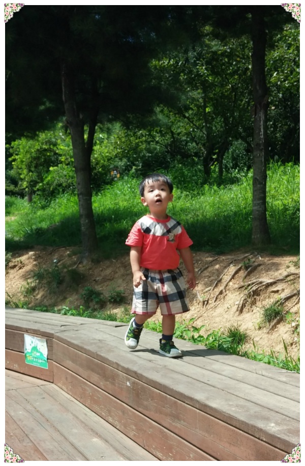 산울림 유아숲체험원 이미지