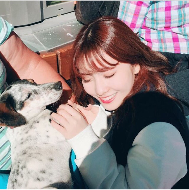 5/5 트와이스 모모 인스타그램 (with 쯔위) | 인스티즈