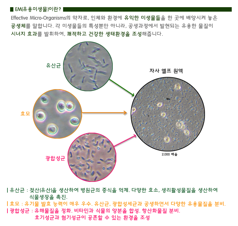 당밀 이미지