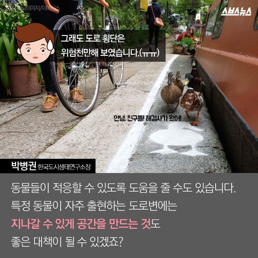 당신은 당신의 이웃을 사랑하십니까? | 인스티즈
