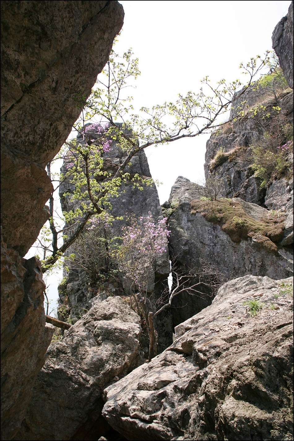 서대산드림리조트(주) 이미지