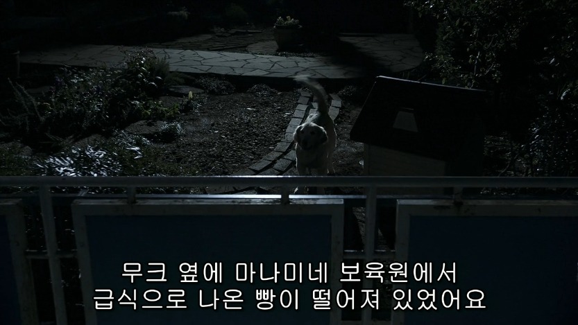 역대급으로 충격적이였던 어느 일본영화오프닝 .jpg | 인스티즈
