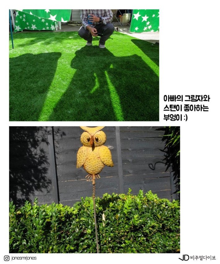 19개월 아기가 찍은 사진들 | 인스티즈