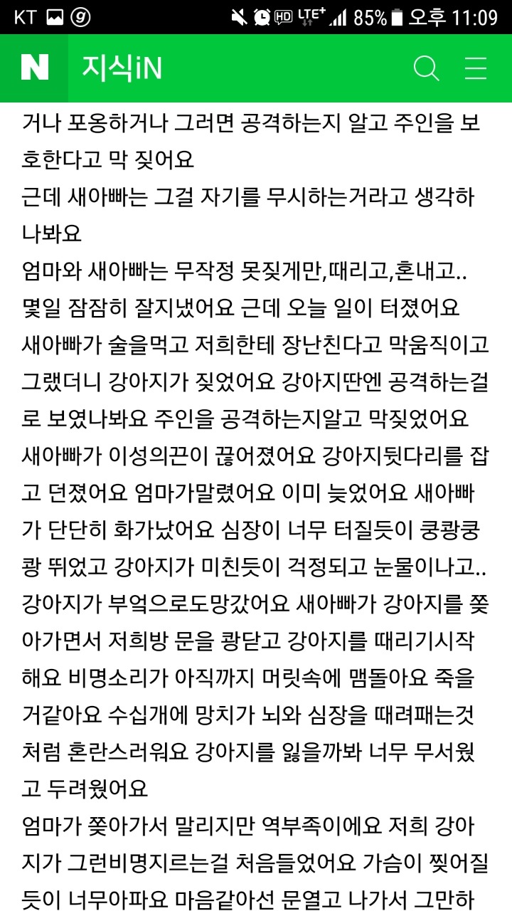 강아지가 새아빠한테 맞아 죽은거같아요 도와주세요 | 인스티즈