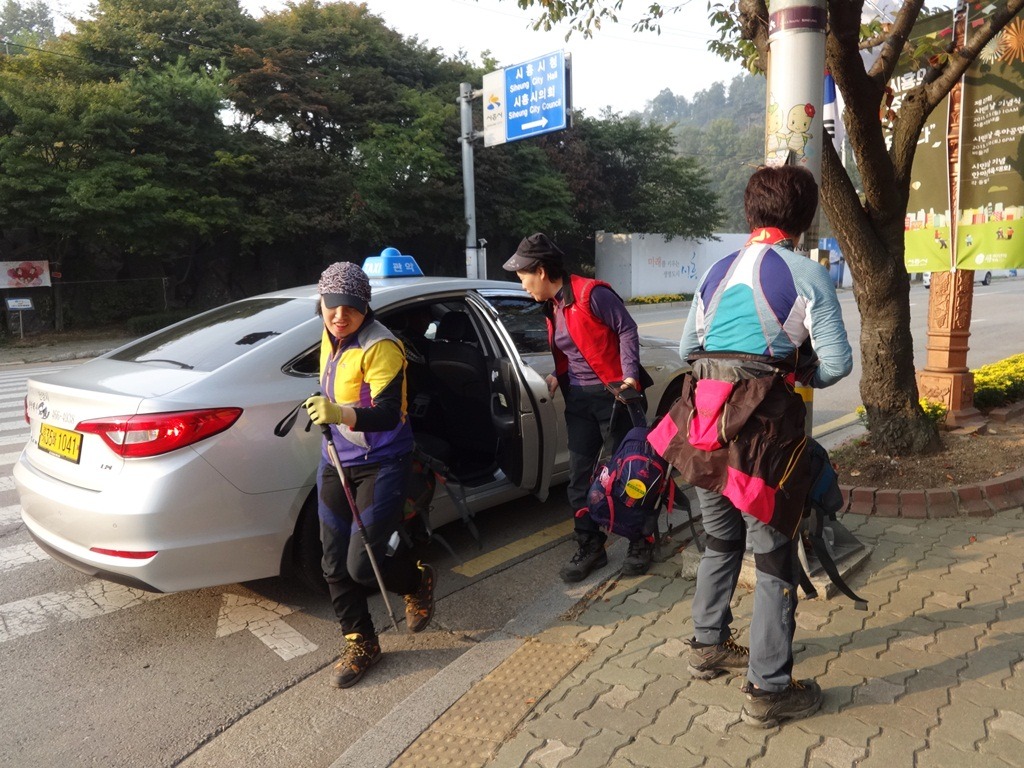 한비숲 이미지