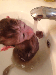 똑똑한데다 착하기까지 함ㅋ | 인스티즈