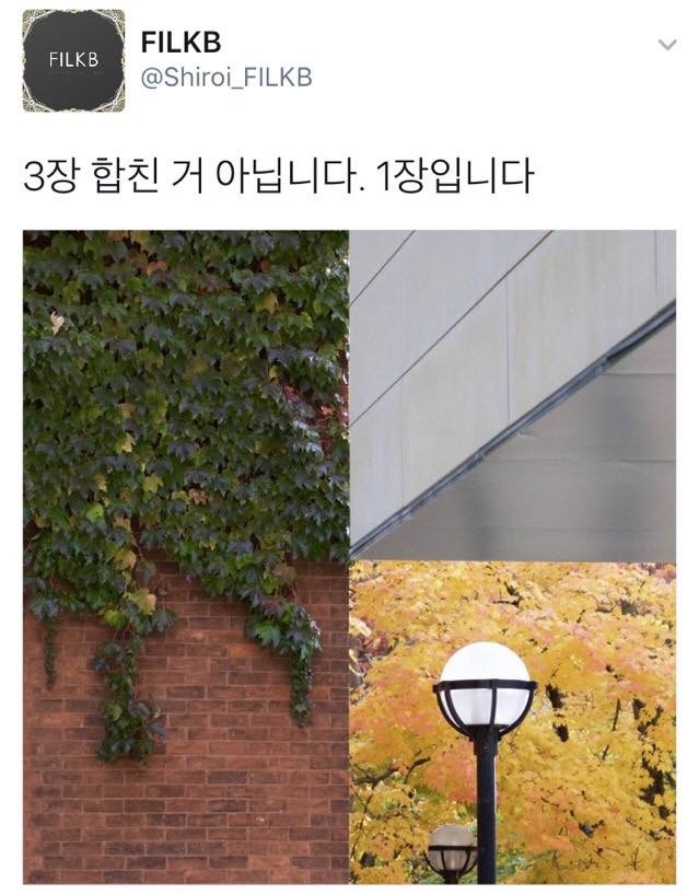 합성인듯 합성아닌 합성같은 사진 | 인스티즈