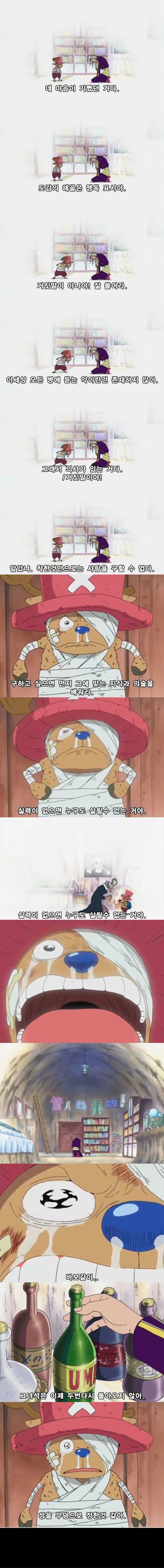 개인적으로 생각하는 원피스 에피소드 중 가장 슬픈 에피소드 | 인스티즈
