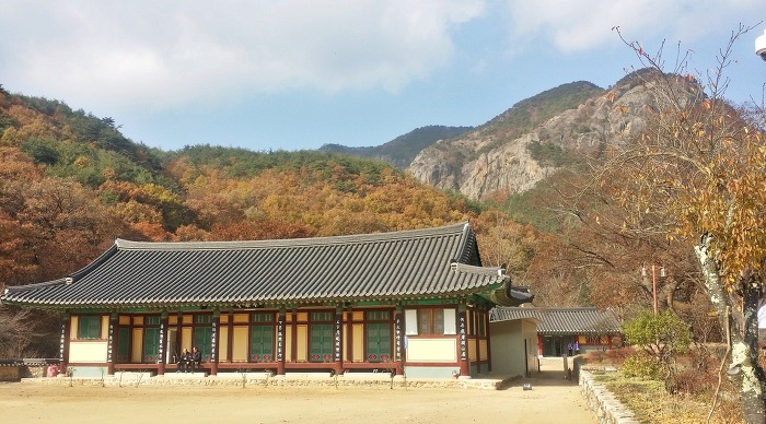 청송신용협동조합 이미지