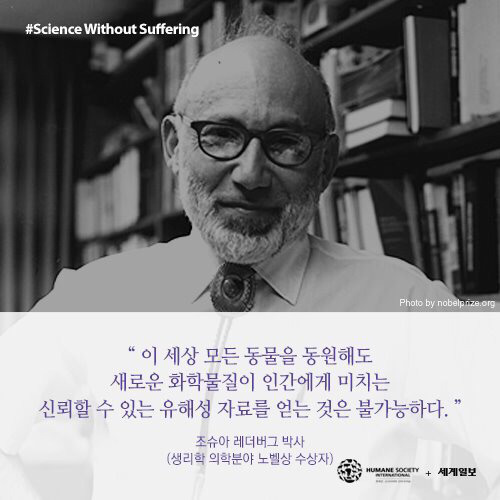 [필수!] 동물실험반대서명 하고가세요!!! 당신의 한서명이 몇천 몇만마리의 동물들을 살립니다!!! 서명하고 하는일마다 잘풀리는 복받아가세요~!! | 인스티즈