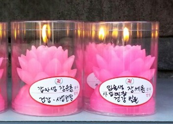 나반 이미지