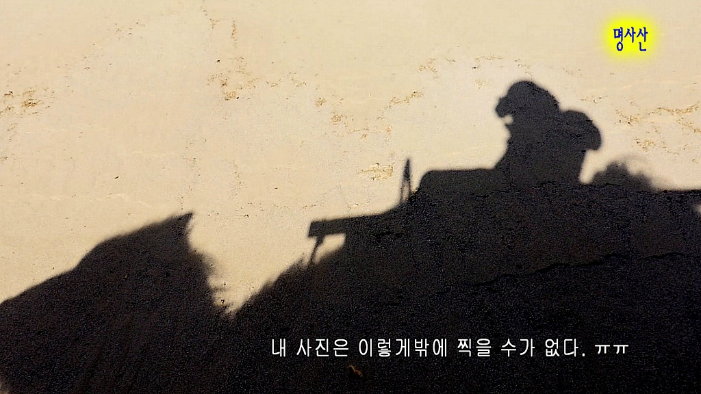 사막의오아시스 이미지