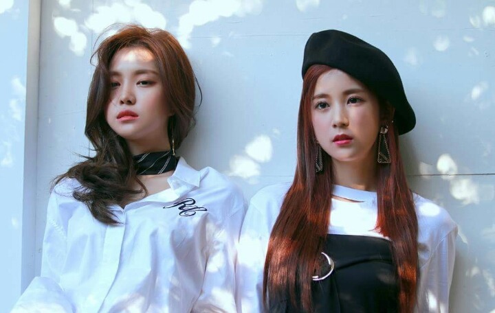 에이핑크 | 인스티즈