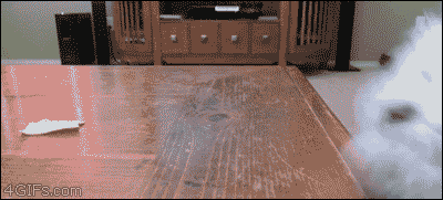 뜻밖의.gif(데이터주의) | 인스티즈
