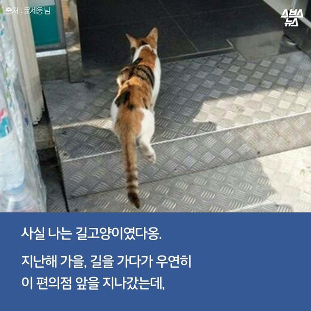 편순이 처음 보냥? | 인스티즈