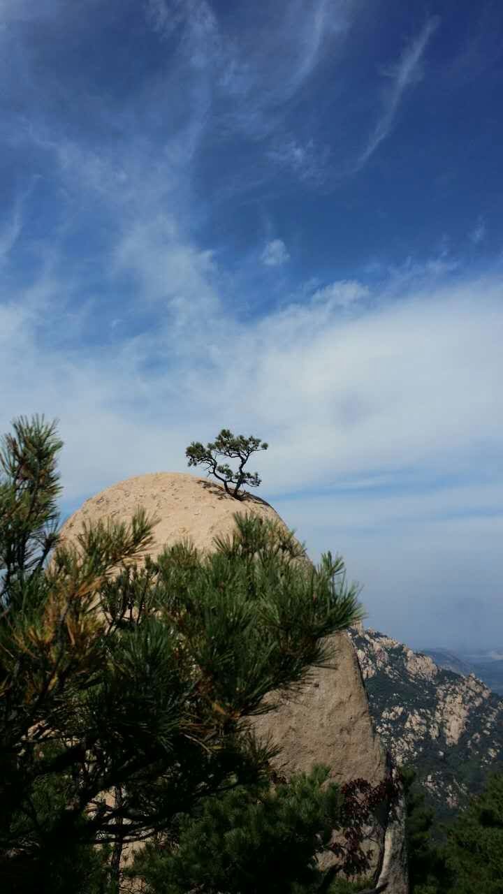 천태산하 이미지