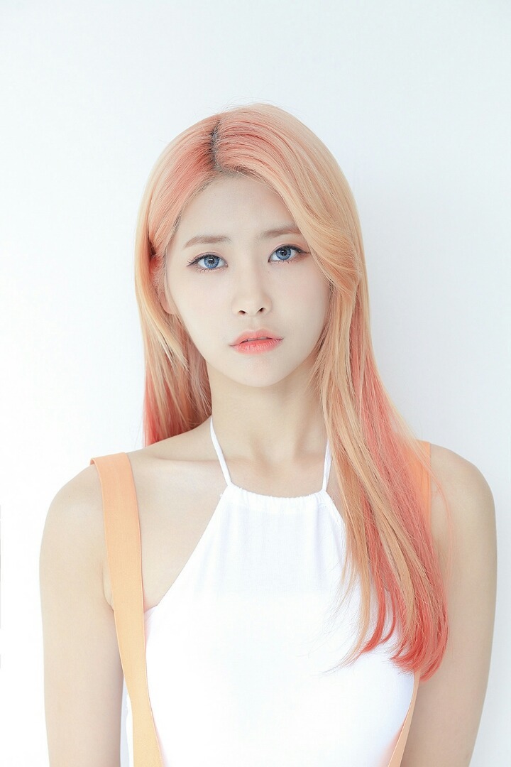 또 로타랑 작업한 다이아 | 인스티즈