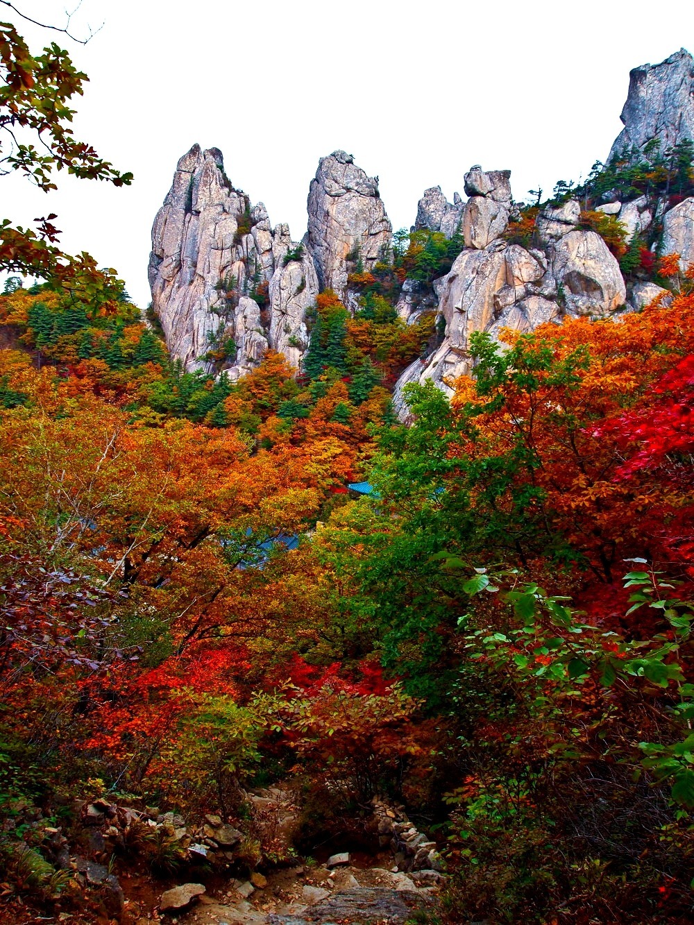 산 이미지