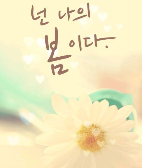 넌나의봄이다 이미지