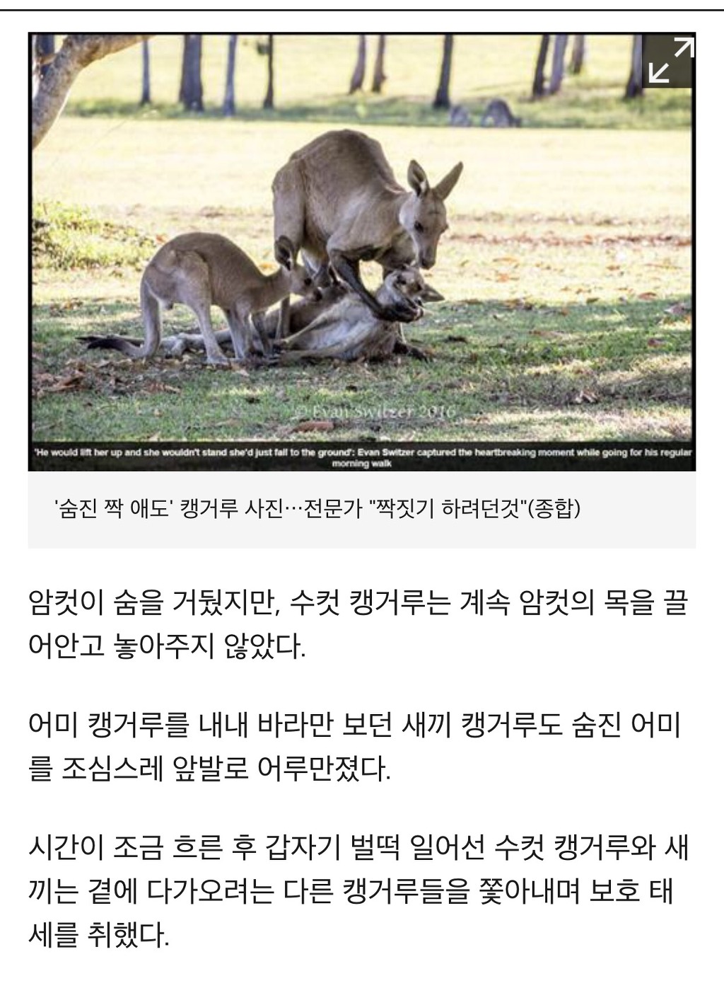 전문가는 너무해 ㅜㅛㅜ | 인스티즈