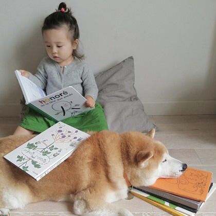 시바견 퐁퐁과 2살 소녀 필로(귀여움 주의) | 인스티즈