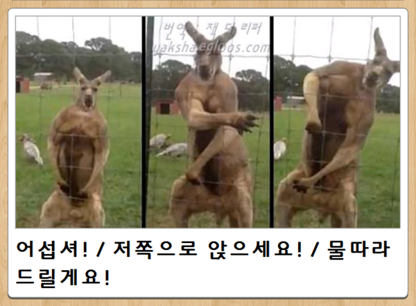 어제자 최신 보케테 | 인스티즈