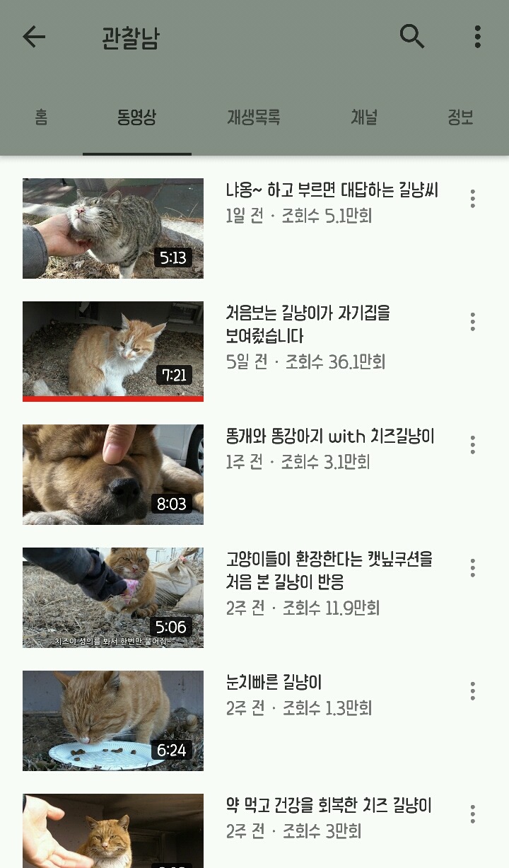 걸어다니는 인간 캣닢 유튜버 | 인스티즈