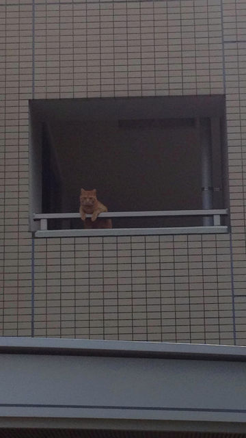 277CCC47561F65E41233D6