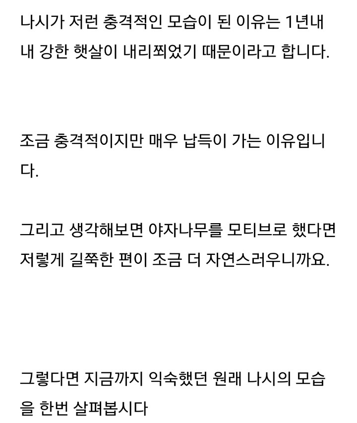 7세대에서 밝혀진 나시의 비밀 | 인스티즈