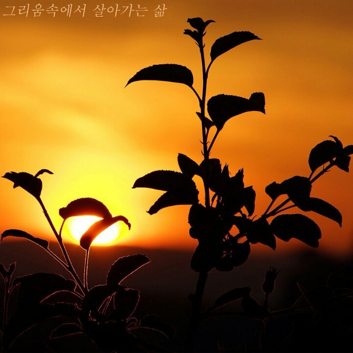 동행 이미지