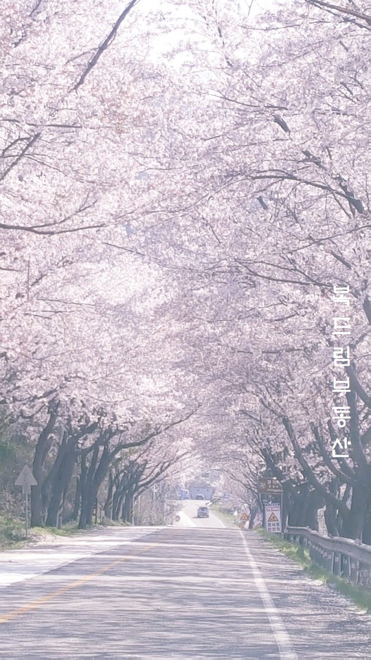 복드림 이미지
