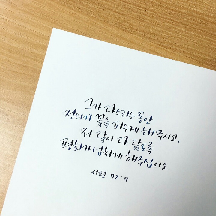 이니야 이미지