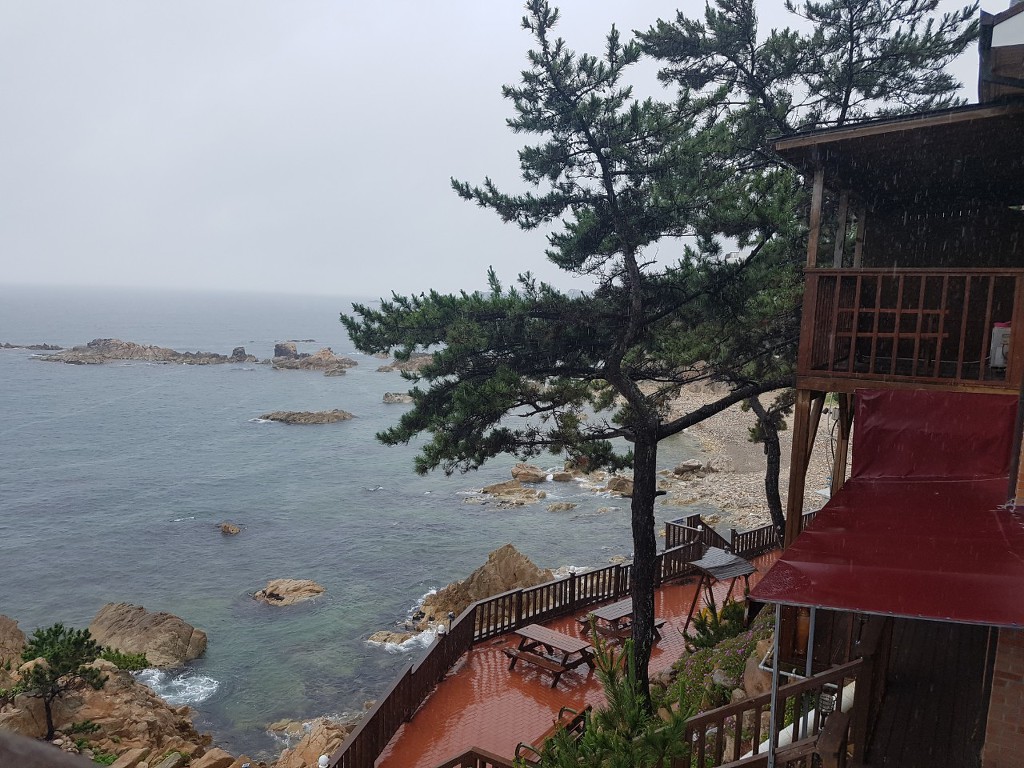 한국대중음악인연합회대구지회 이미지