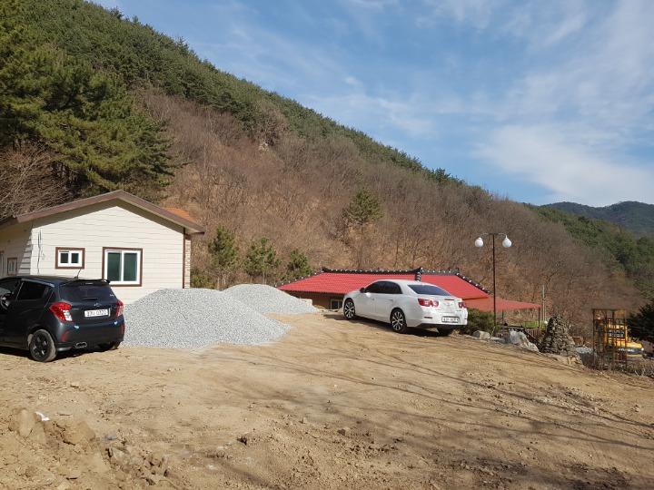 소담채 이미지