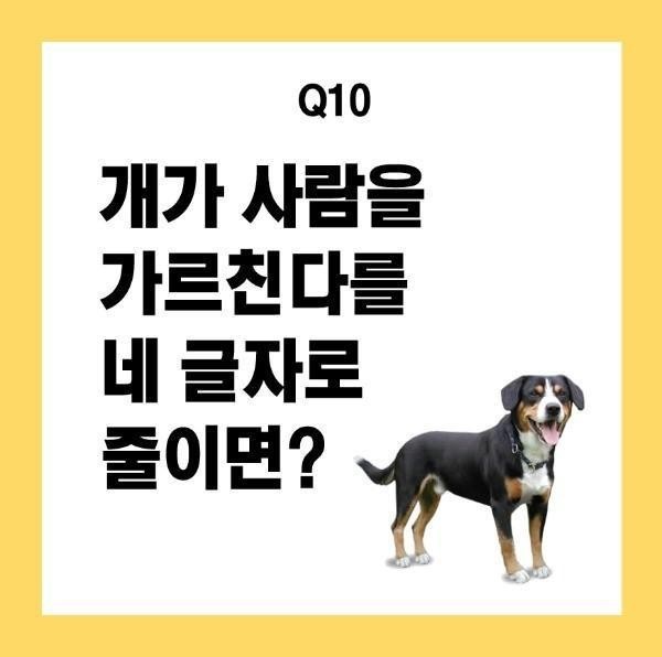 즈 이미지