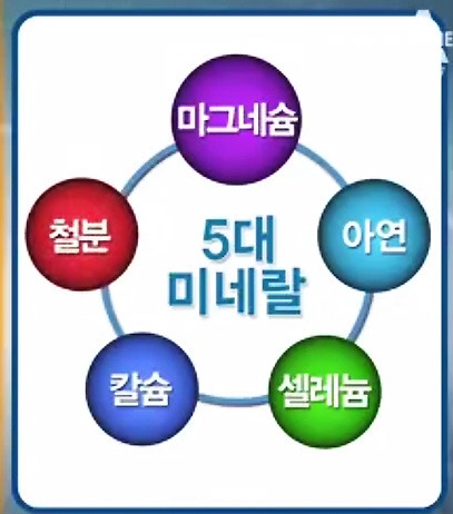 유황 F&S 이미지