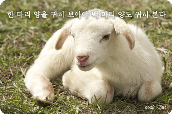 양도백 이미지