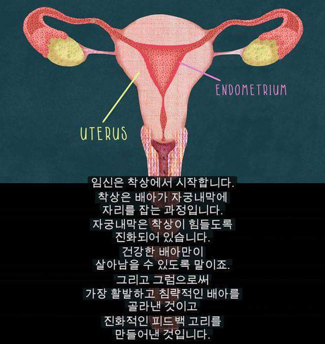 생리를 자궁이 임신을 기다리다가 임신을 하지 못해 실패한 것이라고 배우는 건 철저히 가부장적, 남성중심적 사고이다 | 인스티즈