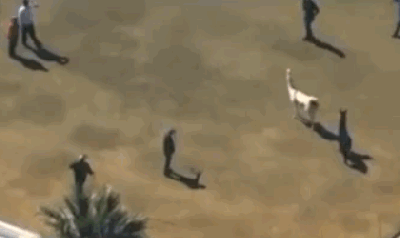 뎊마타 경기력..gif | 인스티즈