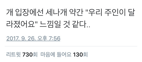 댕댕이 입장에서 보는 세나개.twt | 인스티즈