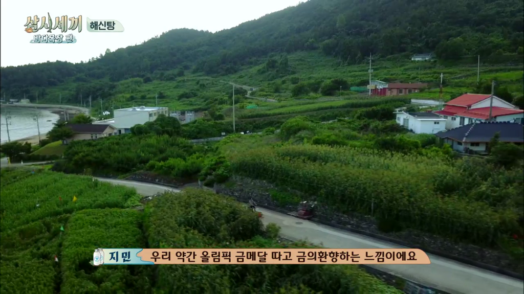 한지민을 물음표살인마로 만든 삼시세끼 역대급 비쥬얼 해신탕 | 인스티즈