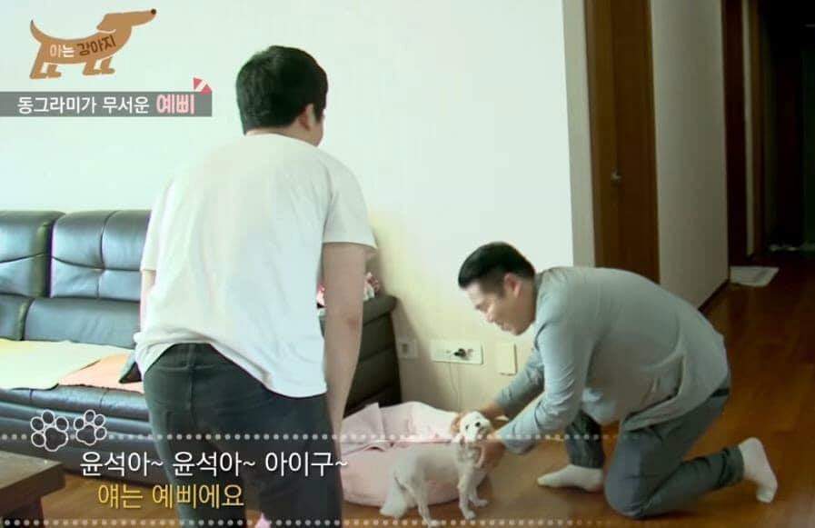 강아지 조련사 가정방문 대참사 | 인스티즈