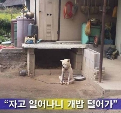 헐 이미지