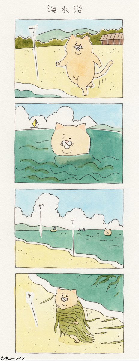 뭐든지 안 되는 고양이 시리즈.jpg | 인스티즈