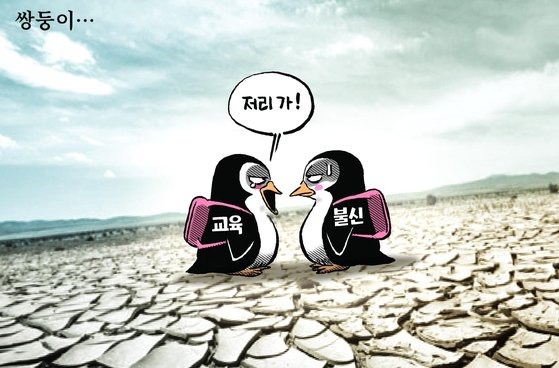 11-13 이미지